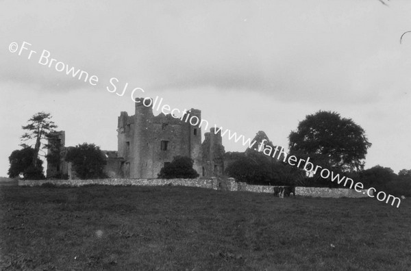 ABBEY CASTLE FROM S.E.